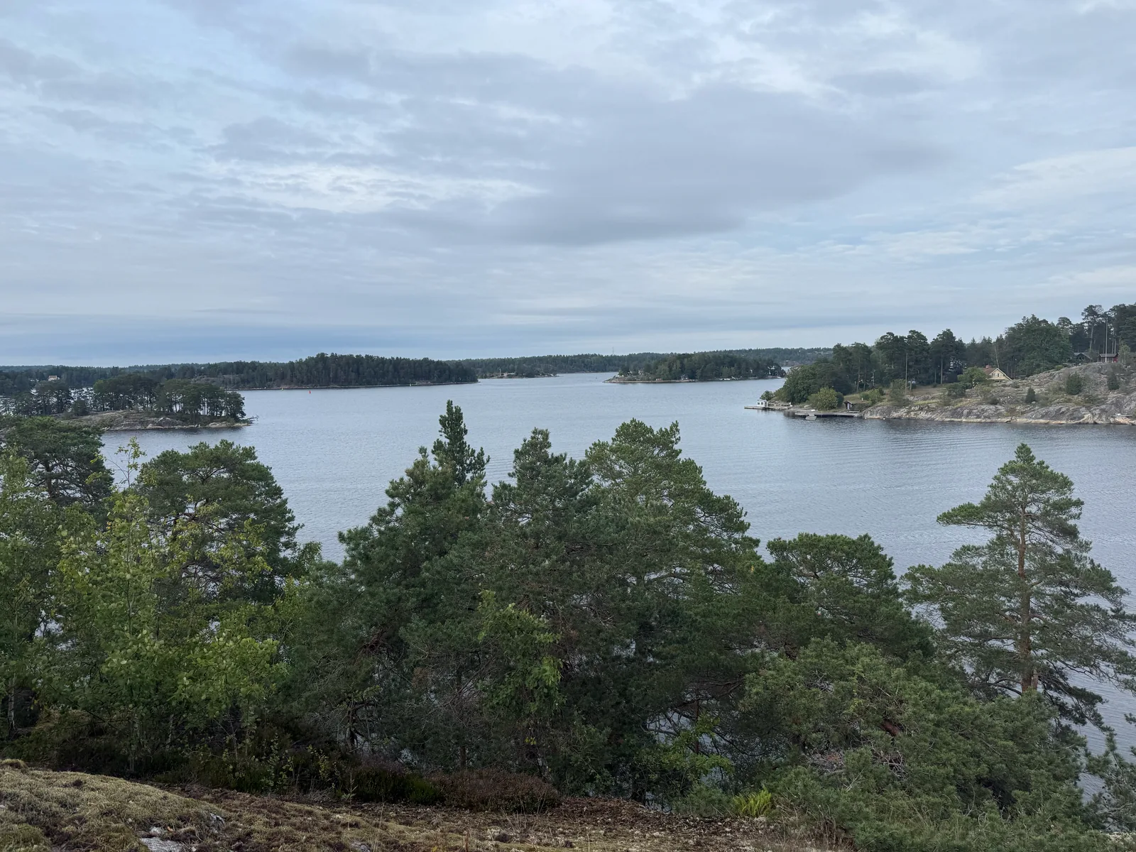 Weiter Blick über Wasser, Kiefern und bewaldete Inseln