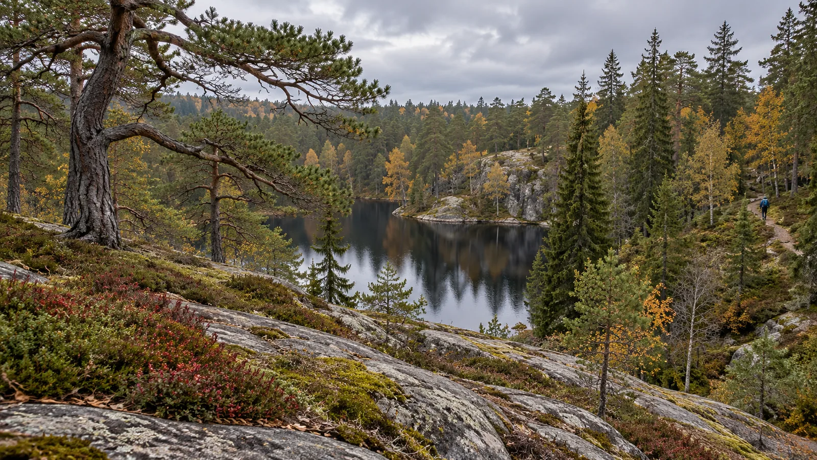 Knorrige Kiefer auf flechtenbewachsenem Granitfels über einem dunklen Waldsee, rechts ein Wanderer auf einem schmalen Pfad