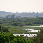 Vogelschutzgebiete im gesamten Schärengarten