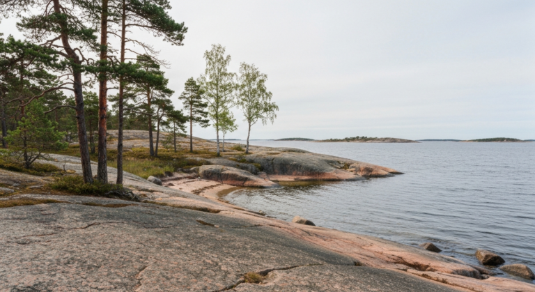 Flache Granitküste mit Kiefern und kleiner Sandbucht im Naturreservat Björnö an der ruhigen Ostsee