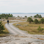 Radfahrer von hinten auf einem Schotterweg über die flache Schäreninsel Utö, Ostsee im Hintergrund
