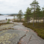 Wanderweg des Stockholm Archipelago Trail über flache Granitfelsen und durch Kiefernwald entlang der Ostsee